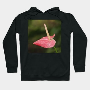 Anthurium Hoodie